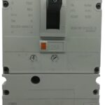 BREAKER CAJA MOLDEADA + PROTECCION POR CORRIENTE RESIDUAL 3 P 125A 30mA. NM8L-250S 125A 3P