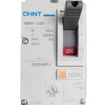 BREAKER DE CAJA MOLDEADA AJUSTABLE 2 POLOS 100A ICU 50KA/500VAC NM8N CHINT