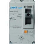 BREAKER DE CAJA MOLDEADA AJUSTABLE 2 POLOS 125A ICU 50KA/500VAC NM8N CHINT