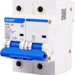 BREAKER 2P 100A RIEL DIN 6KA NXB-125