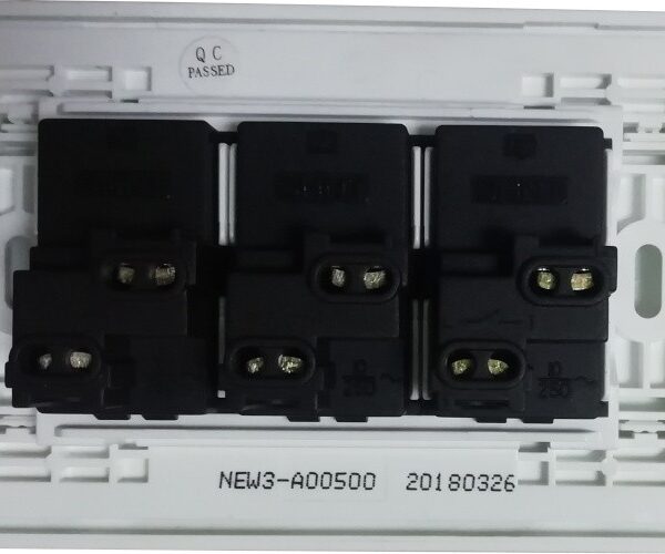 INTERRUPTOR NEW3-A00500  3Gang 1 Way Switch 250V 10A