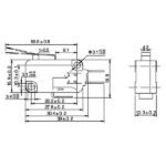 MICROSWITCH PALANCA EXTRA LARGA 16A 250V, TM