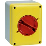 INTERRUPTOR ROTATIVO EMERGENCIA 3 X 63A IP65 PALAZZOLI ITALI
